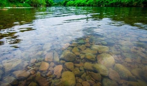 水質檢測